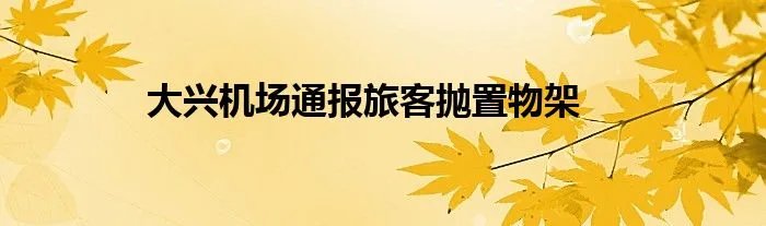 大兴机场通报旅客抛置物架