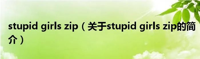 stupid girls zip（关于stupid girls zip的简介）