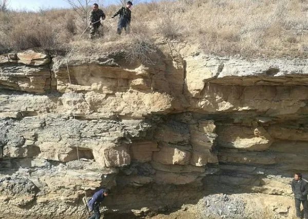 男子什么原因落水渠被困20小时？