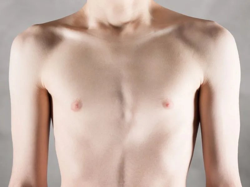 锁骨的作用有哪些