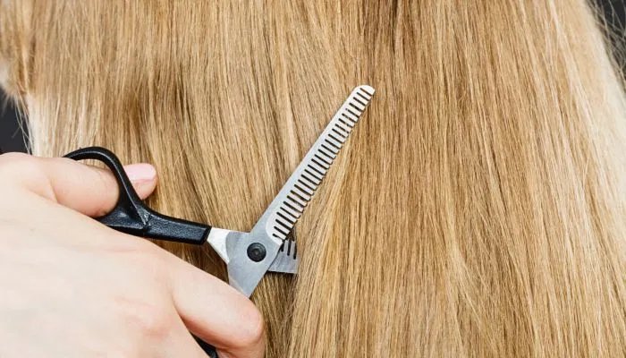 正月不能剪头发吗 农历正月真的不能剪头发吗