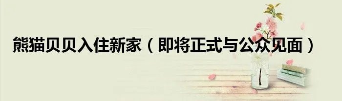 熊猫贝贝入住新家（即将正式与公众见面）