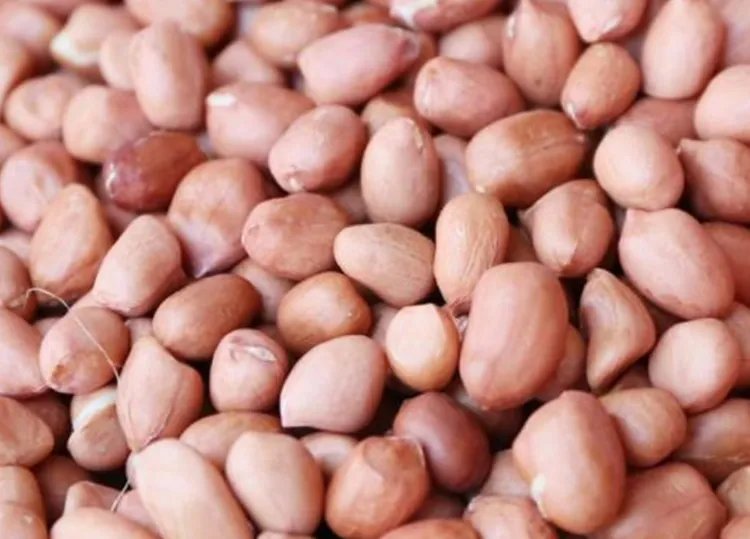 生花生的功效与作用