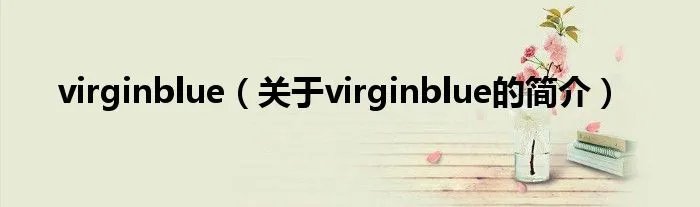 virginblue（关于virginblue的简介）
