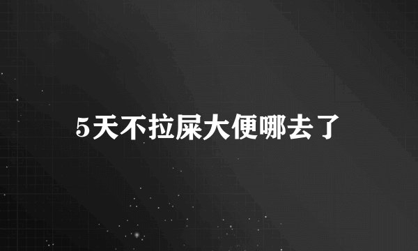 5天不拉屎大便哪去了