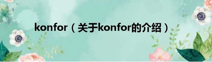 konfor（关于konfor的介绍）