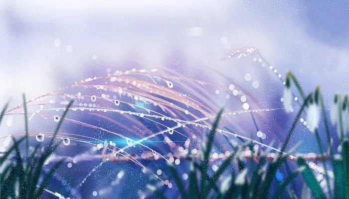 二十四节气歌完整版 二十四节气歌标准全文