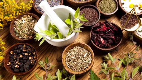 血余炭的功效与作用