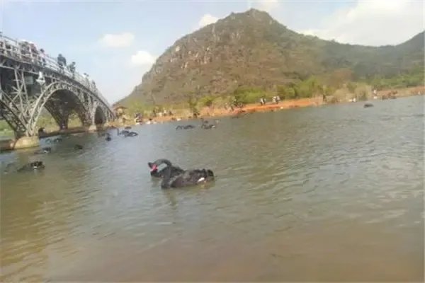 云南文山:再出现溺水事件顶格问责,能否有效杜绝该事件的再发生?