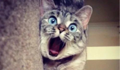 杭州地铁女神成网红,你怎么看?