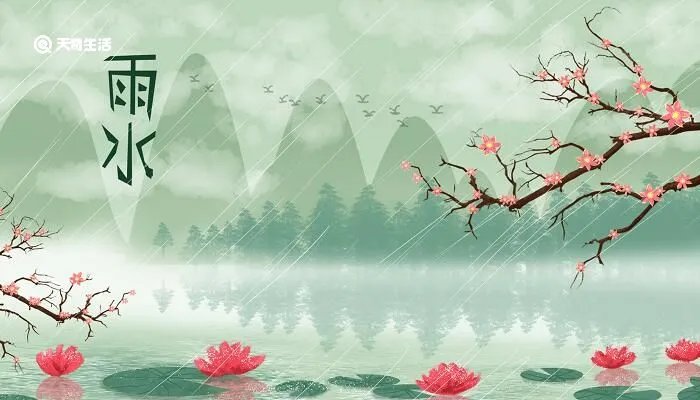 小雨的降雨量是多少