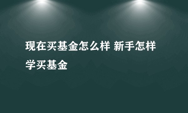 现在买基金怎么样 新手怎样学买基金