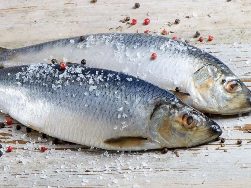 鱼籽对人体有哪些好处