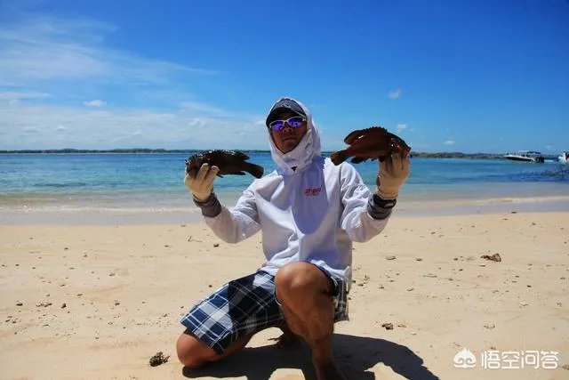 除了《游钓中国》，你还喜欢什么钓鱼类视频？