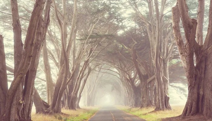 秦岭隧道最长多少公里 秦岭隧道简介