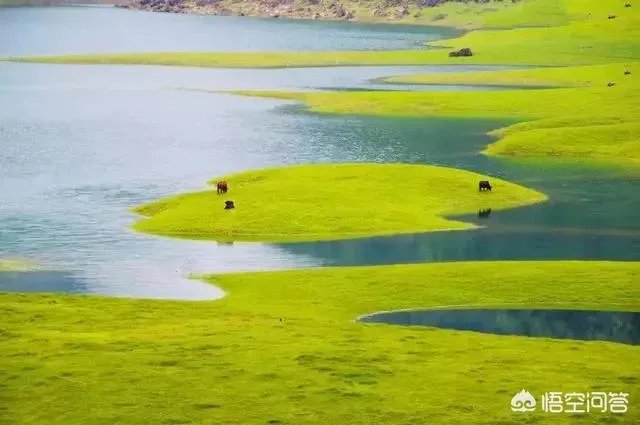 张一山会有夏雨的成就吗？