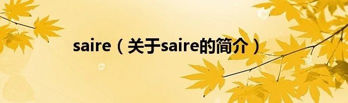 saire（关于saire的简介）