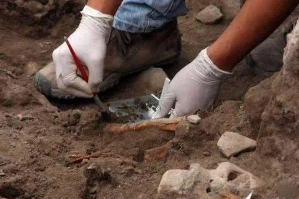 留守女生选择北大考古专业,具体怎么回事?