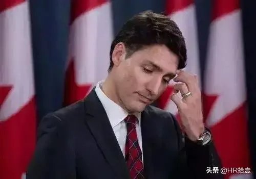 孟晚舟为何被逮捕？