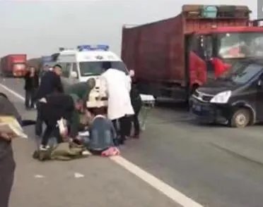 高速上拦截运狗车被撞 寻狗志愿者3人受伤