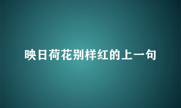 映日荷花别样红的上一句