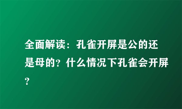 全面解读：孔雀开屏是公的还是母的？什么情况下孔雀会开屏？