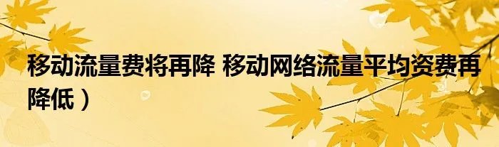 移动流量费将再降 移动网络流量平均资费再降低）