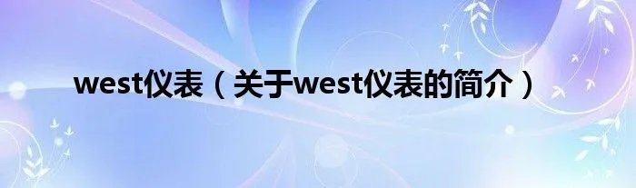 west仪表（关于west仪表的简介）