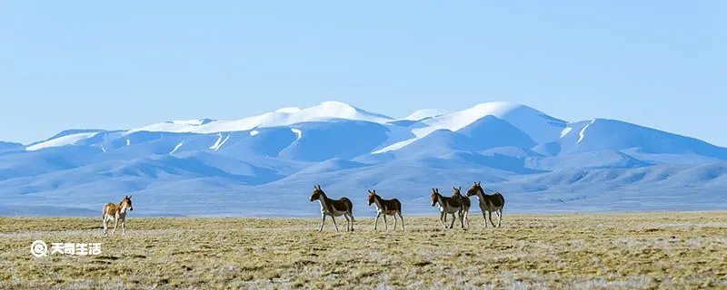 昆仑山在哪里？