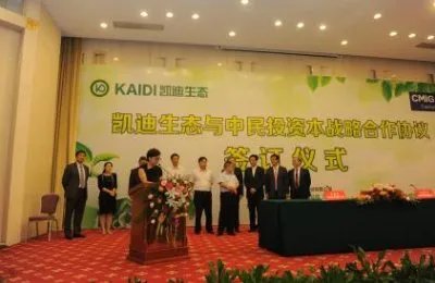 凯迪生态被立案的原因真相是什么？