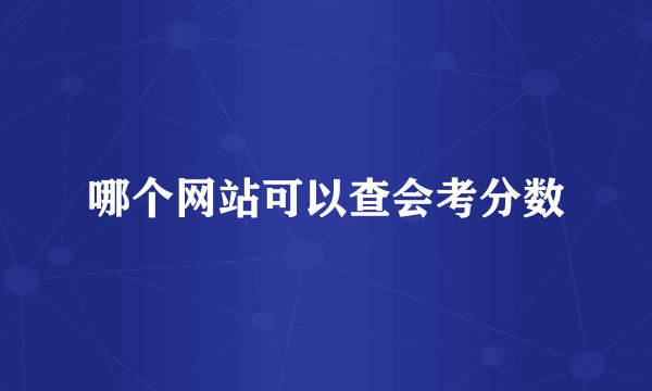 哪个网站可以查会考分数