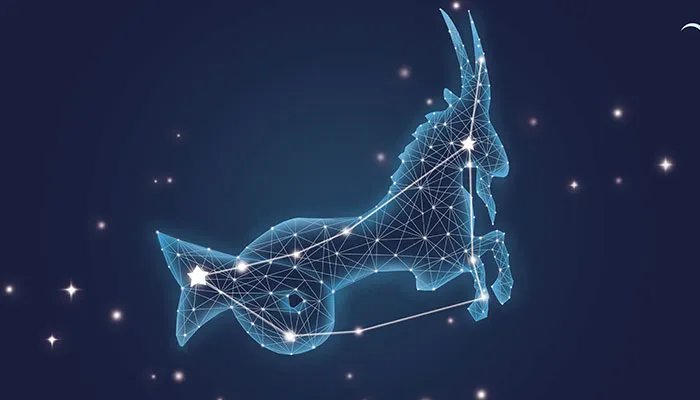 摩羯是什么动物 摩羯座的动物是什么