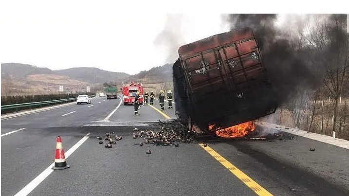 11吨蔬菜在哪里被烧焦了？