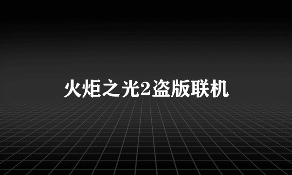 火炬之光2盗版联机