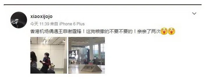 王菲和谢霆锋在哪个机场热吻？