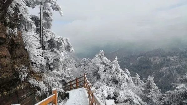 祁连山景区突降大雪,现场的情况如何?