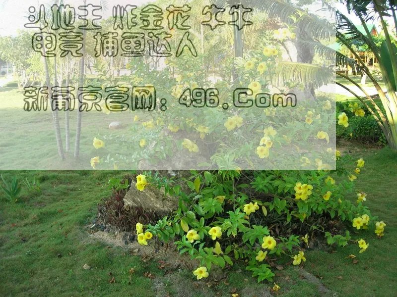 你要毁了中国电竞吗是什么意思