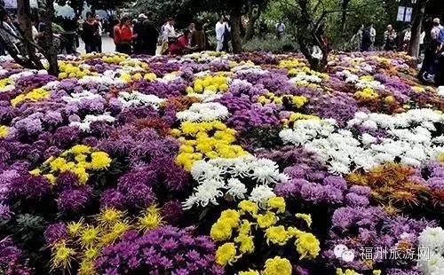 福州人的休闲娱乐方式有哪些？