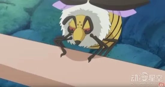 《海贼王》动画765话先行图 没想到你是这样的老猫