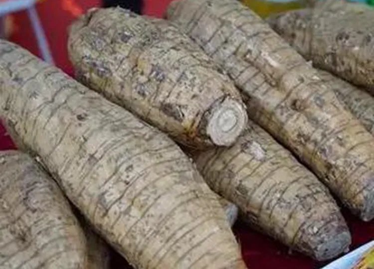 粉葛的功效与作用