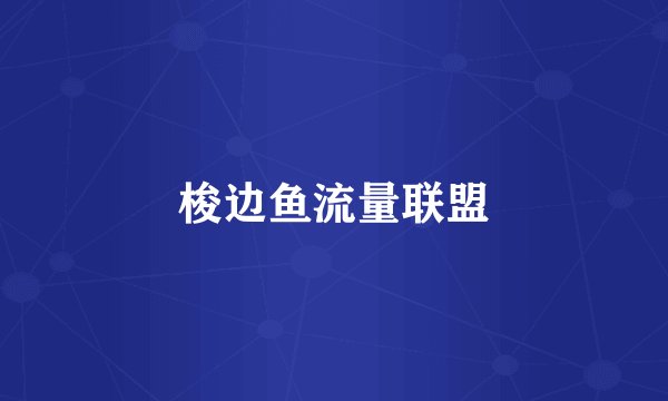 梭边鱼流量联盟