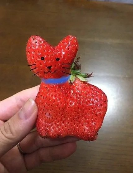 一颗特别像猫咪的草莓是什么梗