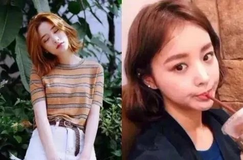 刘阳半藏森林出轨啥意思 半藏森林不带T聊天记录