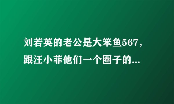 刘若英的老公是大笨鱼567，跟汪小菲他们一个圈子的。是谁？