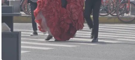 新人斑马线拍照行为是否可取？