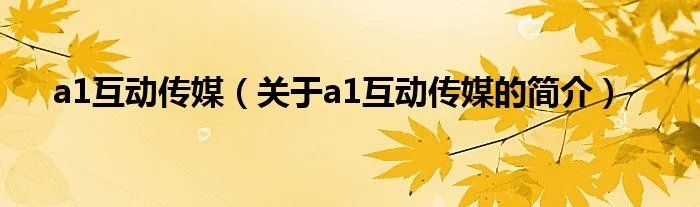 a1互动传媒（关于a1互动传媒的简介）