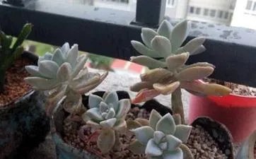 21数字代表什么意思 21的数字分析含义意义