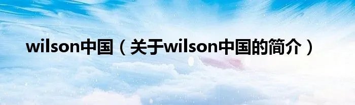 wilson中国（关于wilson中国的简介）