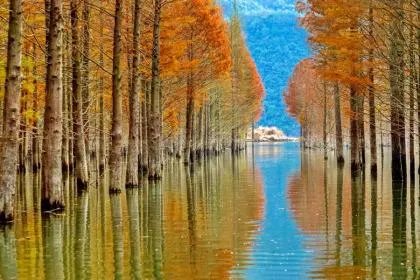 立秋下雨好不好?立秋下雨有什么说法?