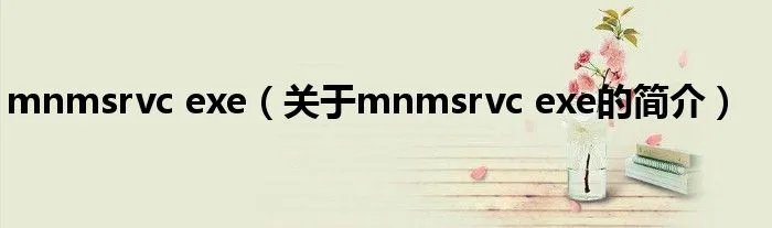 mnmsrvc exe（关于mnmsrvc exe的简介）